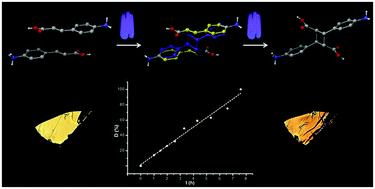 Graphical abstract: Single crystal to single crystal [2+2] photoreactions in chloride and sulphate salts of 4-amino-cinnamic acid via solid-solution formation: a structural and kinetic study