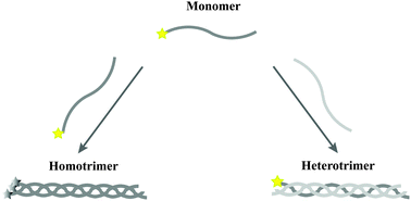 Graphical abstract: Colorimetric and fluorometric monitoring of the helix composition of collagen-like peptides at the nM level