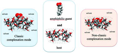 Graphical abstract: Discovery of a non classic host guest complexation mode in a β-cyclodextrin/propionic acid model