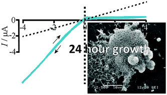 Graphical abstract: Ion flow in a zeolitic imidazolate framework results in ionic diode phenomena