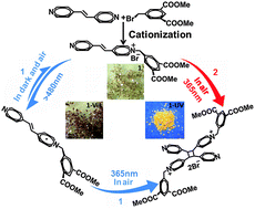 Graphical abstract: A dual-stimuli responsive small molecule organic material with tunable multi-state response showing turn-on luminescence and photocoloration