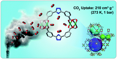 Graphical abstract: Significant enhancement of gas uptake capacity and selectivity via the judicious increase of open metal sites and Lewis basic sites within two polyhedron-based metal–organic frameworks