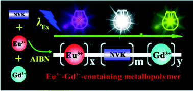 Graphical abstract: Pure white-light and colour-tuning of Eu3+–Gd3+-containing metallopolymer