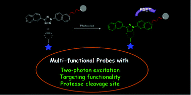 Graphical abstract: Photo-click construction of a targetable and activatable two-photon probe imaging protease in apoptosis