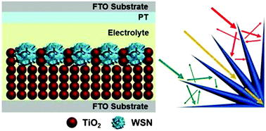 Graphical abstract: Hierarchical mesoporous silica nanoparticles as superb light scattering materials