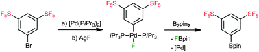 Graphical abstract: Palladium-mediated borylation of pentafluorosulfanyl functionalized compounds: the crucial role of metal fluorido complexes