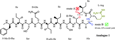 Graphical abstract: Efficient total syntheses and biological activities of two teixobactin analogues