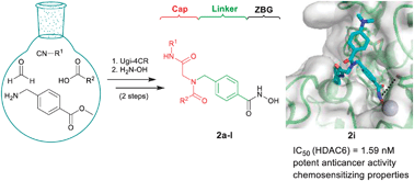 Graphical abstract: Rational design and diversity-oriented synthesis of peptoid-based selective HDAC6 inhibitors