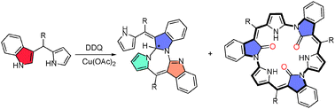 Graphical abstract: Metal assisted cyclomerization of benzodipyrrins into expanded norroles, aza-heptalene and acyclic dimers