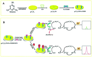 Graphical abstract: A highly sensitive electrochemiluminescence biosensor for the detection of organophosphate pesticides based on cyclodextrin functionalized graphitic carbon nitride and enzyme inhibition