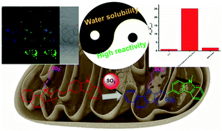 Graphical abstract: A water-soluble and fast-response mitochondria-targeted fluorescent probe for colorimetric and ratiometric sensing of endogenously generated SO2 derivatives in living cells