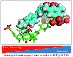 Graphical abstract: Attraction by repulsion: compounds with like charges undergo self-assembly in water that improves in high salt and persists in real biological fluids