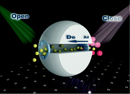 Graphical abstract: Realizing both selective adsorption and efficient regeneration using adsorbents with photo-regulated molecular gates