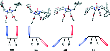 Graphical abstract: X-ray studies of conformation: observation of conformational polymorphism of a glycoluril clip