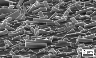 Graphical abstract: EBSD-measurements of textured apatite glass-ceramics