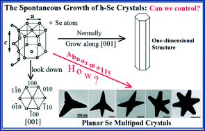 Graphical abstract: Planar Se multipod crystals with unusual growth directions: thoughts on the spontaneous growth of hexagonal Se