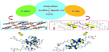 Graphical abstract: Two novel uranyl complexes of a semi-rigid aromatic tetracarboxylic acid supported by an organic base as an auxiliary ligand or a templating agent: an experimental and theoretical exploration