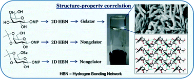 Graphical abstract: A correlation study between hydrogen-bonded network and gelation ability of three galactose derivatives