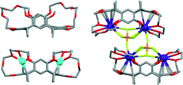 Graphical abstract: Influence of lower rim C-methyl group on crystal forms and metal complexation of resorcinarene bis-crown-5