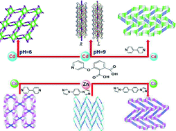 Graphical abstract: Structural diversity in new coordination polymers modulated by semirigid ether-linked pyridine-phthalate building block and ancillary ligands: syntheses, structures, and luminescence properties