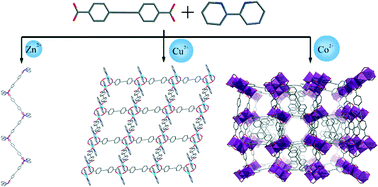 Graphical abstract: Structural diversity of coordination polymers controlled by the metal ion as the sole reaction variable
