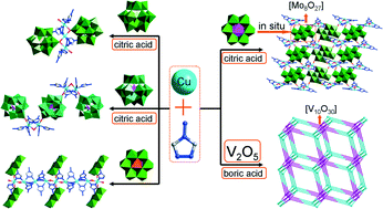 Graphical abstract: Polyoxometalate-directed assembly of various multinuclear metal–organic complexes with 4-amino-1,2,4-triazole and selective photocatalysis for organic dye degradation