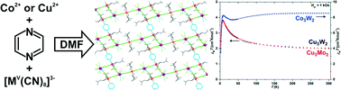 Graphical abstract: Linking magnetic MII–[MV(CN)8] chains into 2D inorganic–organic hybrid materials
