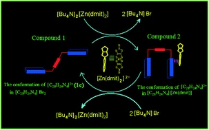 Graphical abstract: Mechanical motion in the solid state and molecular recognition: reversible cis–trans transformation of an organic receptor in a solid–liquid crystalline state reaction triggered by anion exchange