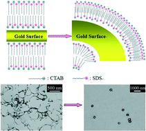 Graphical abstract: Controlled synthesis of gold nanorings with structural defects assisted by elastic induction of mixed surfactants