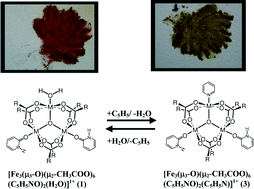 Graphical abstract: Reversible solid to solid transformation in a crystalline state gas–solid reaction under ambient conditions: Fe–N(pyridine) bond formation at the expense of Fe–OH2 bond breaking and vice versa