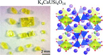 Graphical abstract: Synthesis and structure of the new pentanary uranium(vi) silicate, K4CaUSi4O14, a member of a structural family related to fresnoite