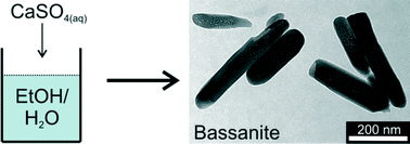 Graphical abstract: A simple strategy for the synthesis of well-defined bassanite nanorods