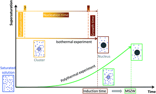 Graphical abstract: Reply to the “Comment on ‘Relation between metastable zone width and induction time of butyl paraben in ethanol’” by L.-D. Shiau, CrystEngComm, 2015, 17, DOI: 10.1039/C5CE00101C