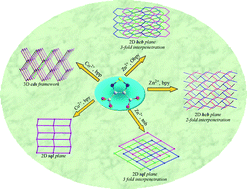 Graphical abstract: Topological modulation of metal–thiadiazole dicarboxylate coordination polymers through auxiliary ligand alteration