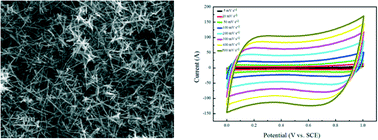 Graphical abstract: A facile one-pot hydrothermal synthesis of branched α-MnO2 nanorods for supercapacitor application