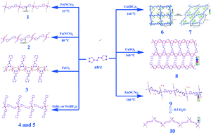 Graphical abstract: A series of multi-dimensional metal–organic frameworks with trans-4,4′-azo-1,2,4-triazole: polymorphism, guest induced single-crystal-to-single-crystal transformation and solvatochromism