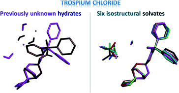 Graphical abstract: Systematic solvate screening of trospium chloride: discovering hydrates of a long-established pharmaceutical