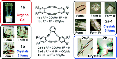 Graphical abstract: Gelation or crystallization? Subtle balance of structural factors for assembly of DBA derivatives with methyl esters