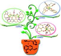 Graphical abstract: Anion-dependent assembly of Dy complexes: structures and magnetic behaviors