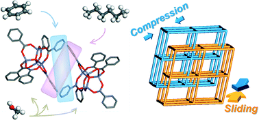 Graphical abstract: Solvent-induced single-crystal to single-crystal transformation of a Zn4O-containing doubly interpenetrated metal–organic framework with a pcu net