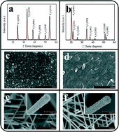 Graphical abstract: Combinational physical synthesis methodology and crystal features correlated with oxidizing gas detection ability of one-dimensional ZnO–VOx crystalline hybrids