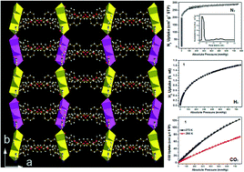 Graphical abstract: A highly stable porous multifunctional Co(ii) metal–organic framework showing excellent gas storage applications and interesting magnetic properties