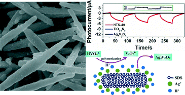 Graphical abstract: One-step SDS-assisted hydrothermal synthesis and photoelectrochemical study of Ag4V2O7 nanorods decorated with Ag nanoparticles