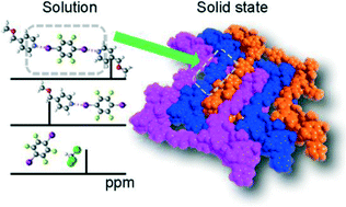 Graphical abstract: Solid state halogen bonded networks vs. dynamic assemblies in solution: explaining N⋯X interactions of multivalent building blocks