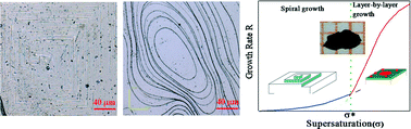 Graphical abstract: Strong correlation of the growth mode and electrical properties of BiCuSeO single crystals with growth temperature