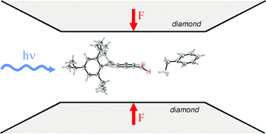 Graphical abstract: Structural transformations in crystals induced by radiation and pressure. Part 2. The path of a photochemical intramolecular reaction in crystals at different pressures