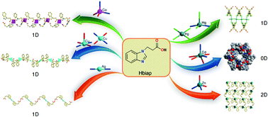 Graphical abstract: Metal-controlled structural variations of coordination architectures constructed from flexible 1H-benzimidazole-1-propionic acid