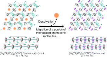 Graphical abstract: Crystal-to-crystal transformation of fishnet-like layered compounds: a self-locking structure with position-variable intercalated molecules