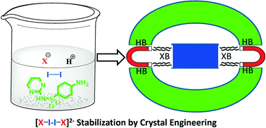 Graphical abstract: Synthesis of tetrahalide dianions directed by crystal engineering