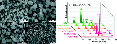 Graphical abstract: Shape-controllable hydrothermal synthesis of NaTbF4:Eu3+ microcrystals with energy transfer from Tb to Eu and multicolor luminescence properties